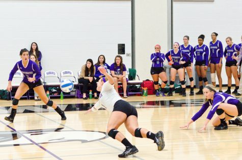 Volleyball: `Hawks go 2-2 in Invite