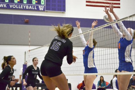 Volleyball: ‘Hawks ready for NCAAs, rematch against Bears
