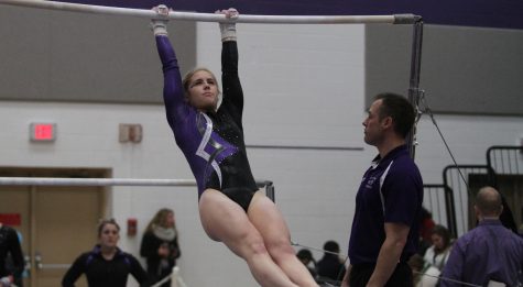 Gymnastics: Gymnasts start 2014 strong