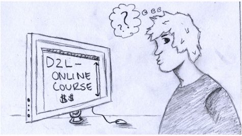 Offline classes more helpful than online ones
