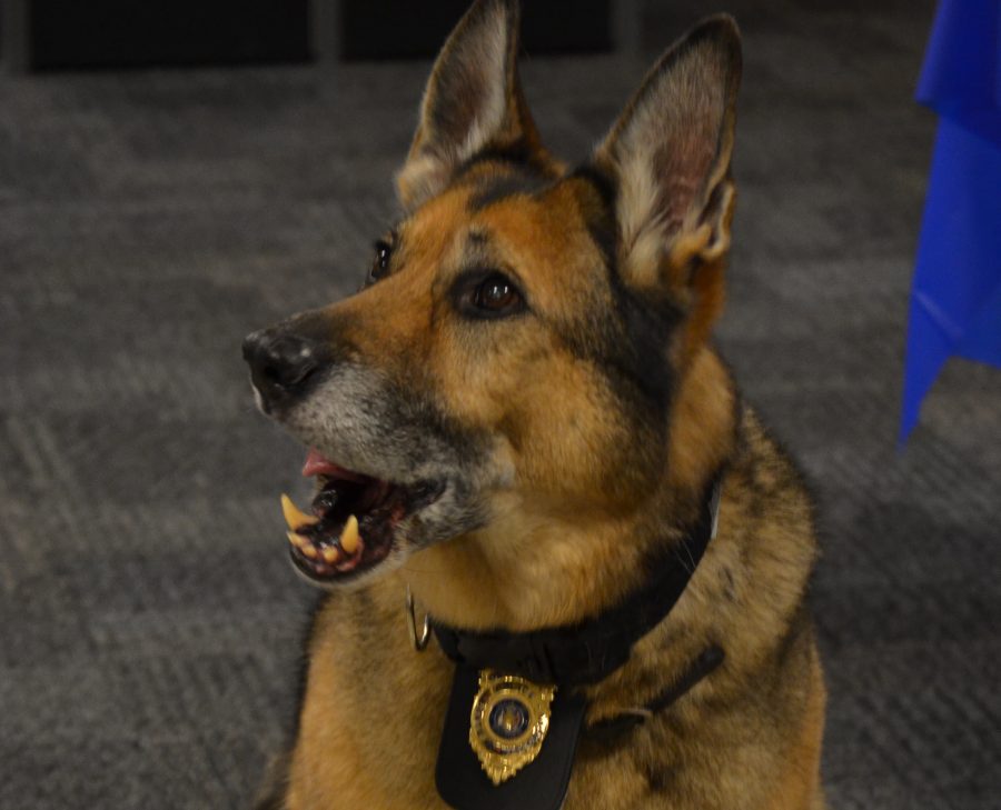 Final funds raised for Whitewater K-9 unit