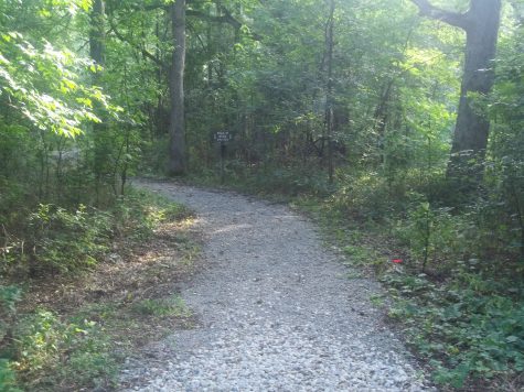 Local forest offers year-round fun