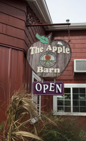 Autumn Gala, Idared, Jonagold: It’s harvest season