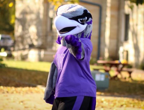 Evolution of Willie the Warhawk