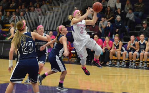 ‘Hawks face UW-Oshkosh in first round of WIAC Championship