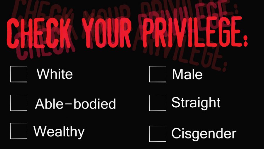 check your privilege chart