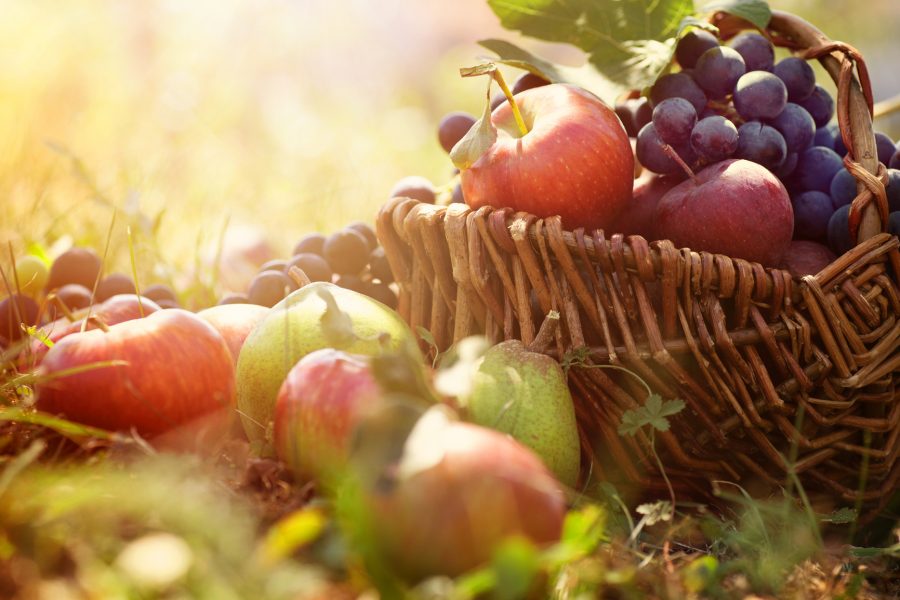 Organic+fruit+in+basket+in+summer+grass.+Fresh+grapes%2C+pears+and+apples++in+nature