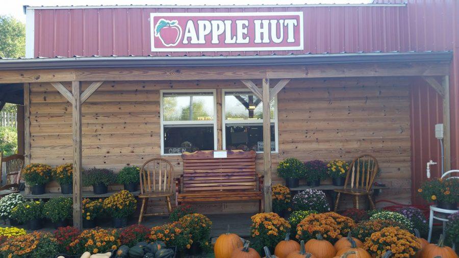 Plenty of pickins’ at the Apple Hut