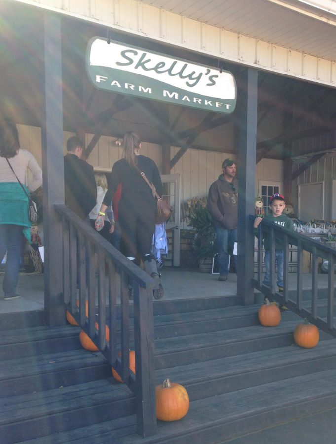 Skelly’s Farm Market features a pumpkin patch, two corn mazes: the Jurassic maze and the impossible maze and a shop filled with Autumn treats. 