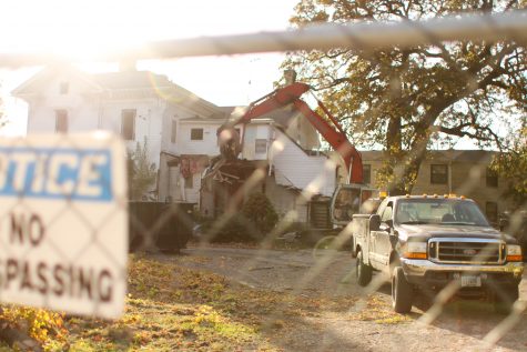 New development to replace historic trees and home