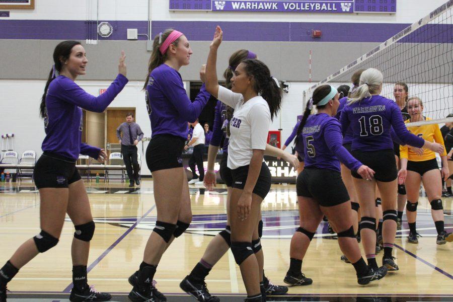 Volleyball honors Panici by continuing streak