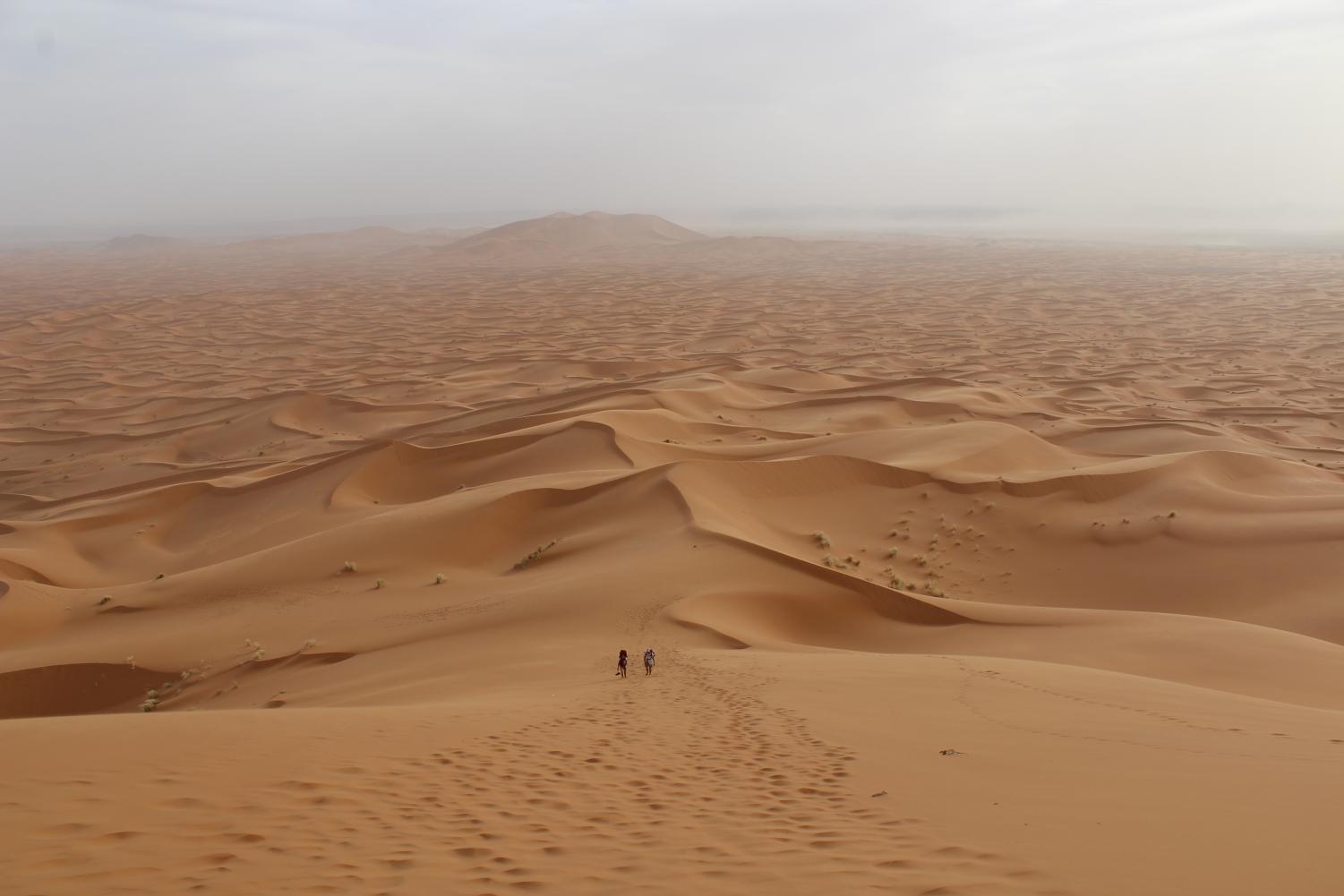 Junior Sarah Nelson’s photo from her five-day excursion in Morocco hangs in the Wander, Explore, Discover and Reflect Center for Global Education photo contest exhibit in Roberta’s Art Gallery.