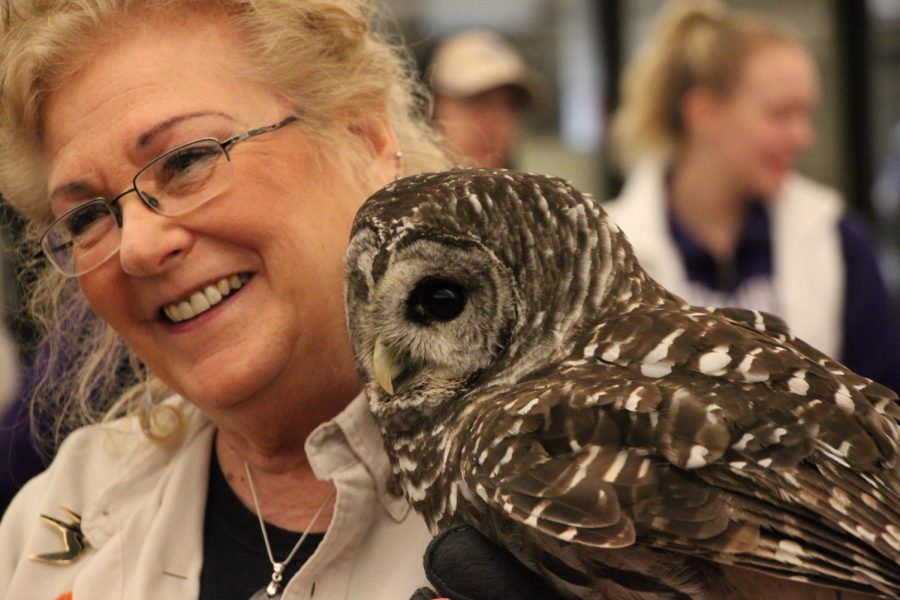 Birds of prey take flight at Andersen Library