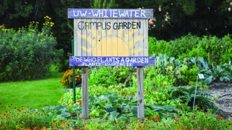 The ever- growing Garden Club