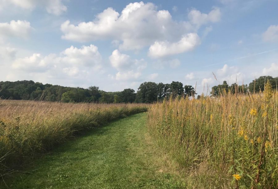Choose your own path at the UW-Whitewater Nature Preserve north of campus on Schwager Dr.