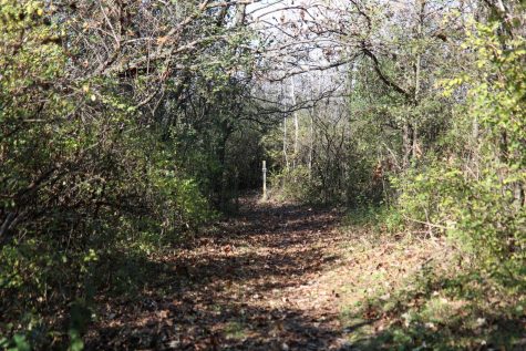 Communities connected through Ice Age Trail