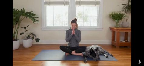 Adriene begins her virtual class by taking some relaxing deep breaths and welcoming words with her dog Benji.