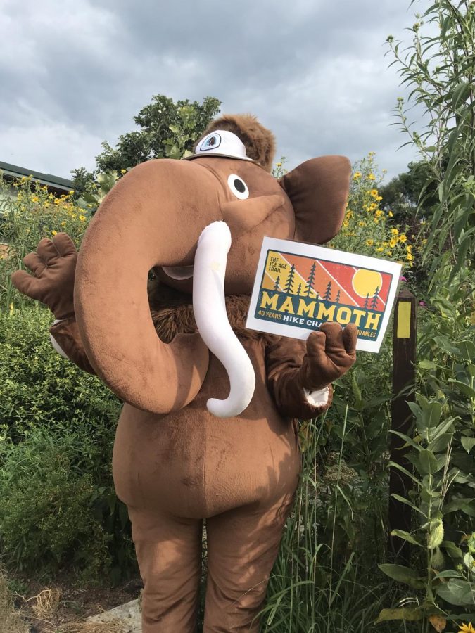The mascot of the Mammoth Hike Challenge, Monty