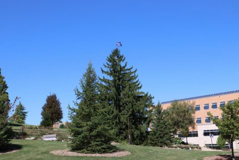 A campaign flag was placed at the top of an evergreen tree near Hyland Hall on the University of Wisconsin-Whitewater campus on Wednesday. Sept. 2.