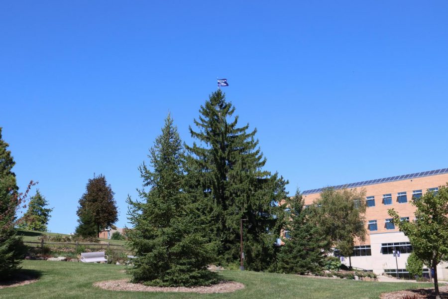 A campaign flag was placed at the top of an evergreen tree near Hyland Hall on the University of Wisconsin-Whitewater campus on Wednesday. Sept. 2. 