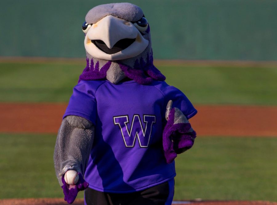 The Beloit Snappers minor league baseball team welcomed the UW-Whitewater family on Saturday, Aug. 17, 2019, for a tailgate social, t-shirt giveaway and a ceremonial first pitch by Willie Warhawk. 