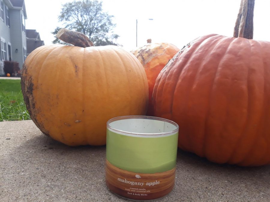 A Draco Candle sitting next to pumpkins.