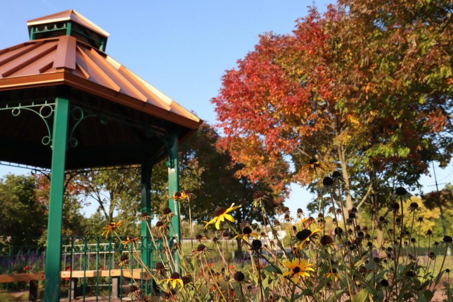 The Gazebo at Cravath Lakefront is surrounded by flowers and a few trees with colorful fall leaves. 