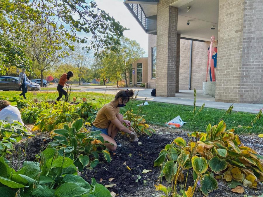 UW-Whitewater Active Minds partners with UW-Whitewater Sustainability to plant Tulip Bulbs in the Hope Garden, raising awareness for mental health issues.