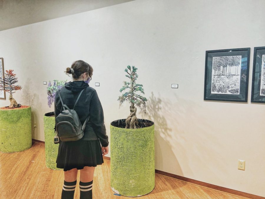 Ashley Snyder browses through Roberta’s Art Gallery located in the James R. Connor University Center Dec. 8. The pieces on display are from the Old Myths in a Modern Conversation Collection by the Artist Taylor McDarison.