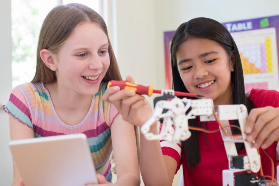 Diversity in STEM education