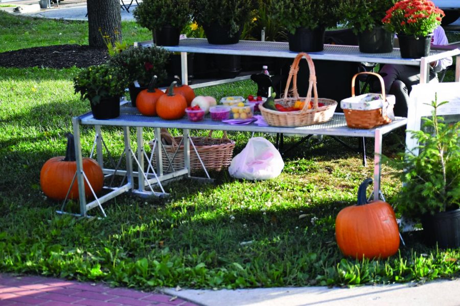 Pumpkins at the farmers market Sept. 14, 2021. 