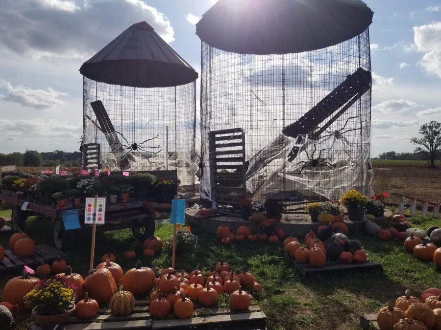 Silos decked out in spider webs as a variety of pumpkins sit below it. 