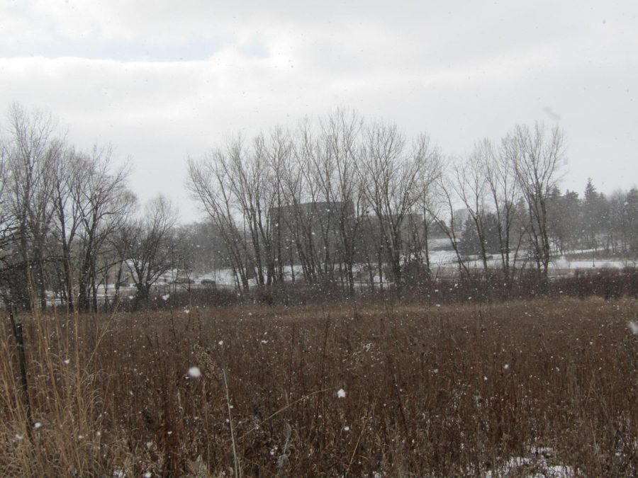 UW-Whitewater Nature Preserve Jan. 15, 2022