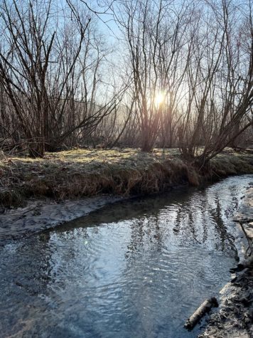 Little Creek during the last few hours of winter. The stream is fed by dozens of springs along the valley on Chris Hardie’s farm. (Chris Hardie photo)