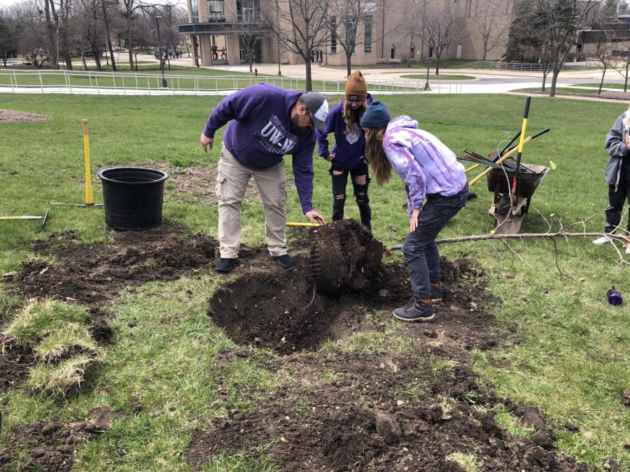 Sustainability department students planting a tree they are dedicating to their interns.
