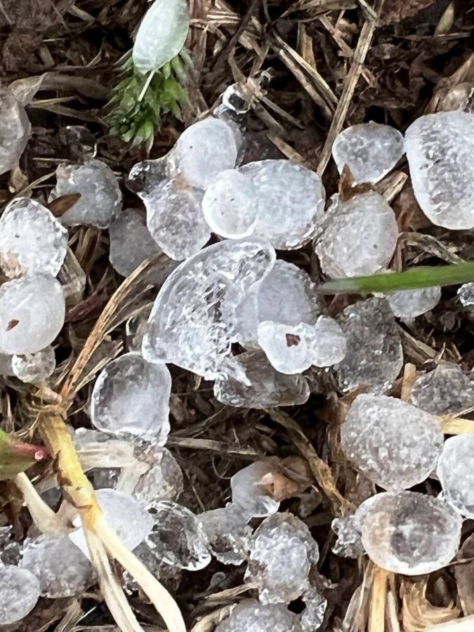 What does April hail showers bring?