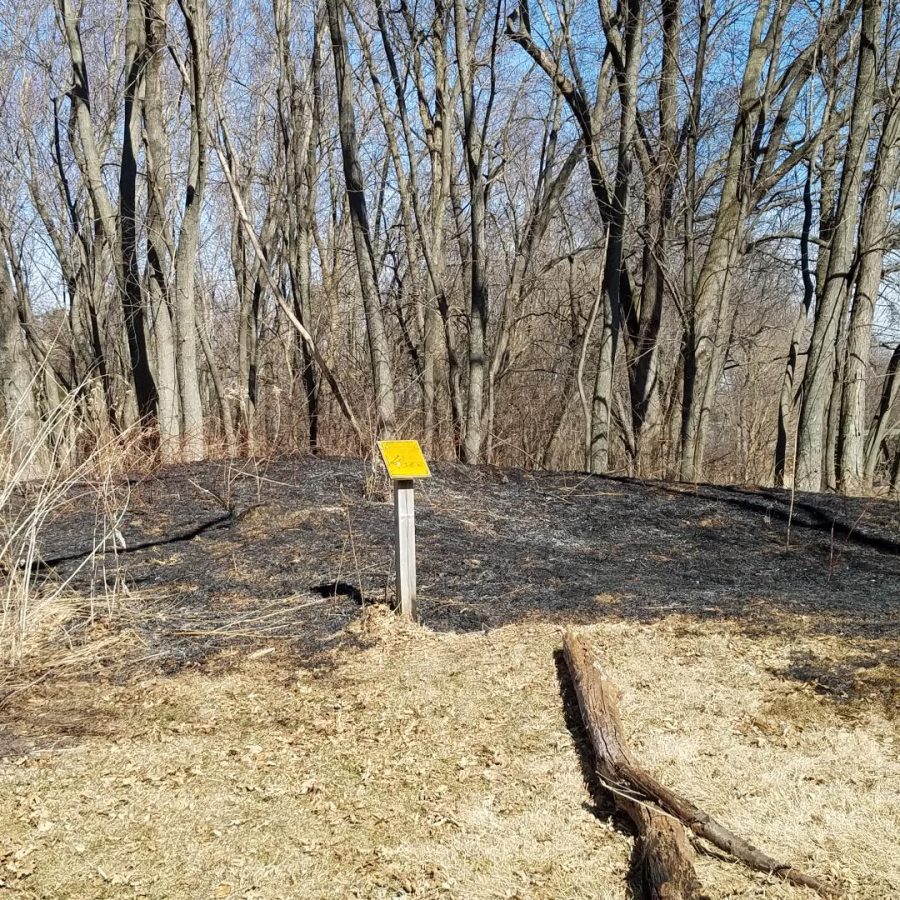 The effigy mounds undergo a controlled burn in 2018. 