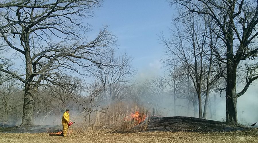 A controlled burn is set on the effigy mounds to maintain the site the summer of 2018. 