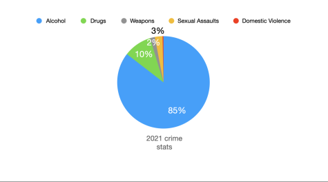 Copy of 2021 crime stats