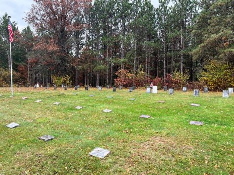 The gravestones at the Jackson County Poor Farm Cemetery.