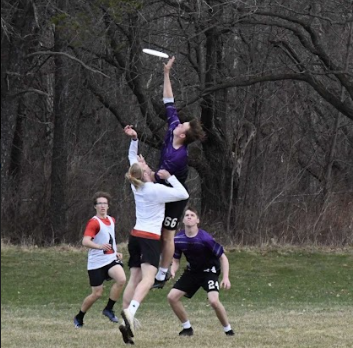 Anthony Gutowsky goes pro for ultimate frisbee