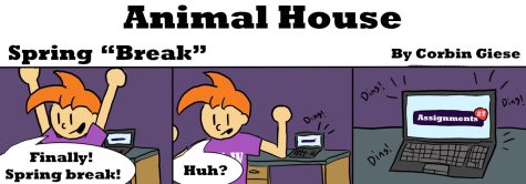 Animal House -Spring Break