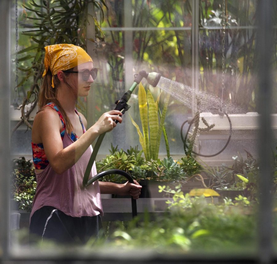 UW-Whitewater sustainability intern Grace Morey, a biology major from sugar grove, Illinois, waters plants in the campus greenhouse in Upham hall in the midday on Tuesday, June 21, 2022
