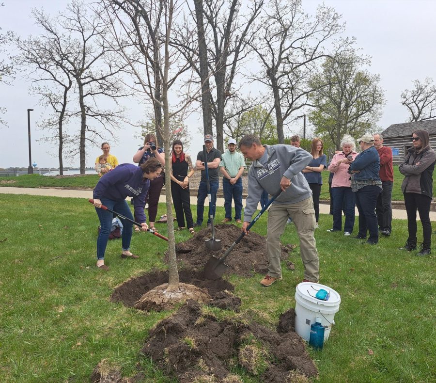 Arbor Day tree planted in memory of UWW alum Royal Purple