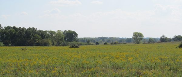 1,800 acres to be restored back to wildlife area