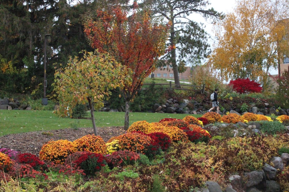 Flowers outside the University Center