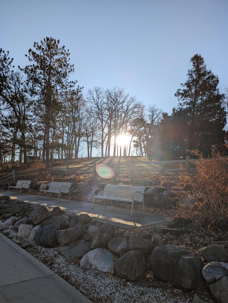 The sun gleams through the trees  and benches on the walkway near the James. R. Connor University Center, Spring semester 2024. 
