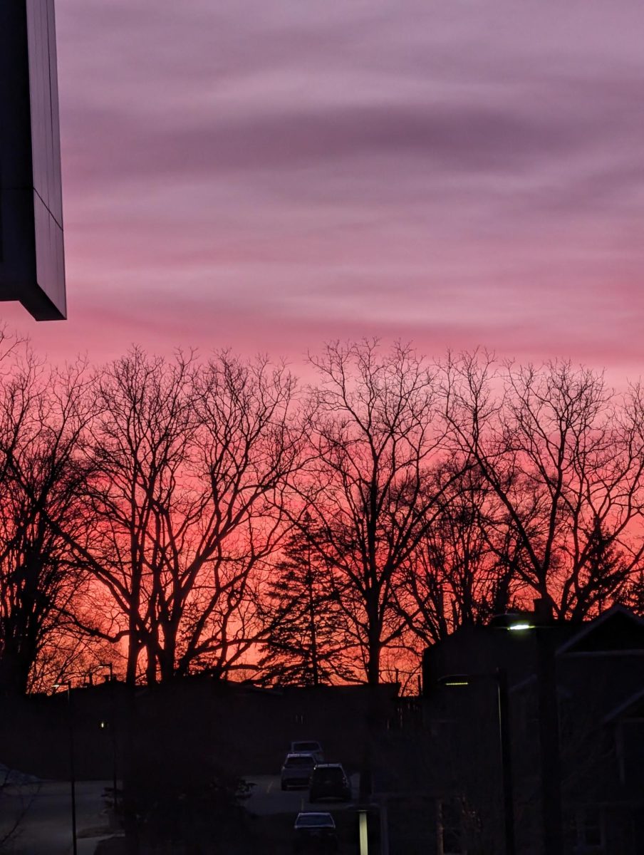 The sky fills with gorgeous hues of pinks, reds, oranges and purples as the sun sets through the trees on campus, Spring semester 2024.
