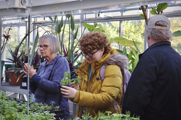 Senior Abbey Cronin picks up a potted plant in the Upham Greenhouse during the From Scraps to Soil: Composting Basics UW-Sustainability event Tuesday evening, March 19, 2024.