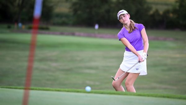 A UW-Whitewater golfer chips onto the green in a competition.

